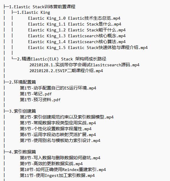 ElasticStack高级开发与架构实战 视频教程 下载   图1