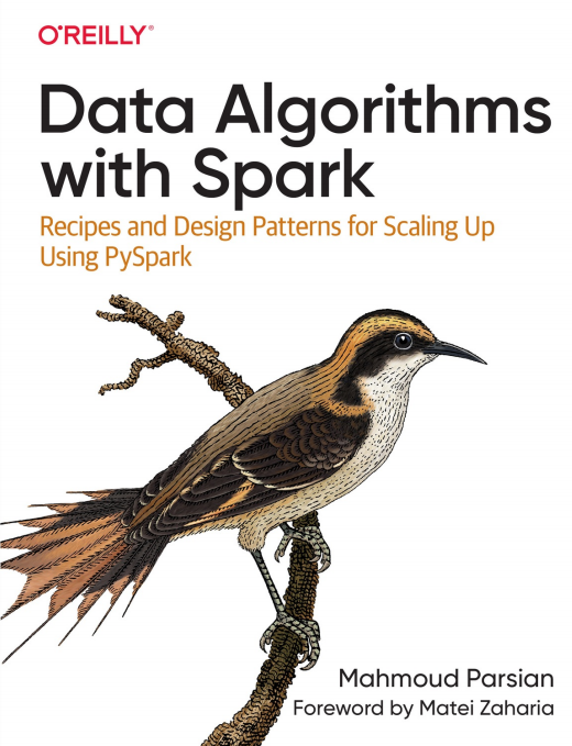 Data Algorithms with Spark  PDF 下载 图1